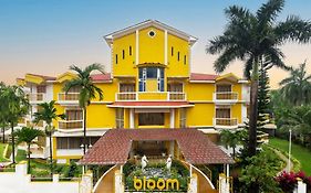 Bloom Boutique L Baga
